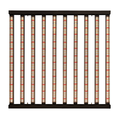 de Tuinbouwleiden van 1200W 10Bars Samsung LM301H kweken het Lichte Binnen Groeien