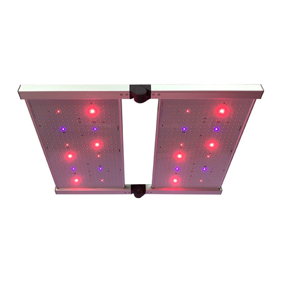 Leiden van de RedFarm480w 3500K kweken Quantumraad Lichten Samsung LM301H