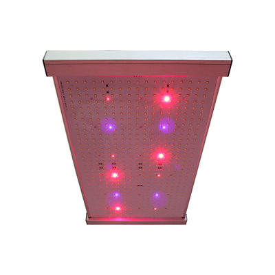 Quantum2x2-leiden groeien Licht